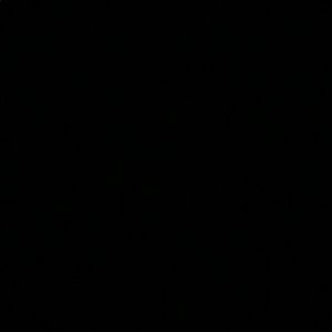 Meet your Posher, Kyler